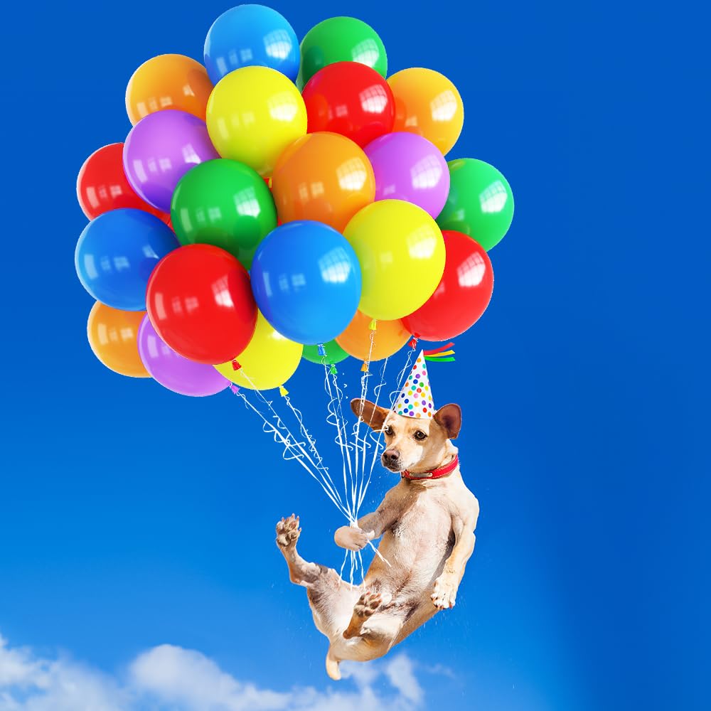 Haolongfa Balloons Rainbow Set 60 PCS Colorful Balloons 12 Inch Thickened Balloons Made With Strong Multicolored Latex, For Air or Helium Use Kid's Birthday Party Decoration Accessory