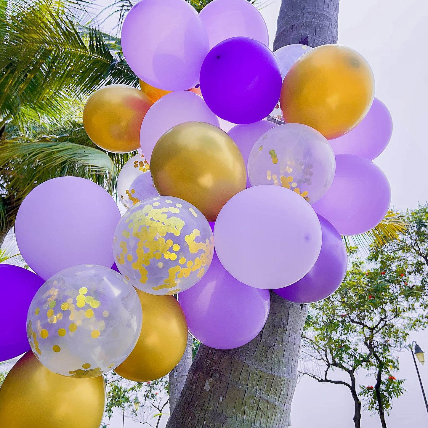 Haolongfa Purple Gold Balloon Arch kit 135pcs Gold Arch Balloons,Dark Confetti Metallic pastel Macaron Purple Butterfly Balloons,for Wedding Birthday Baby Shower Graduation Party Decorations Supplies…